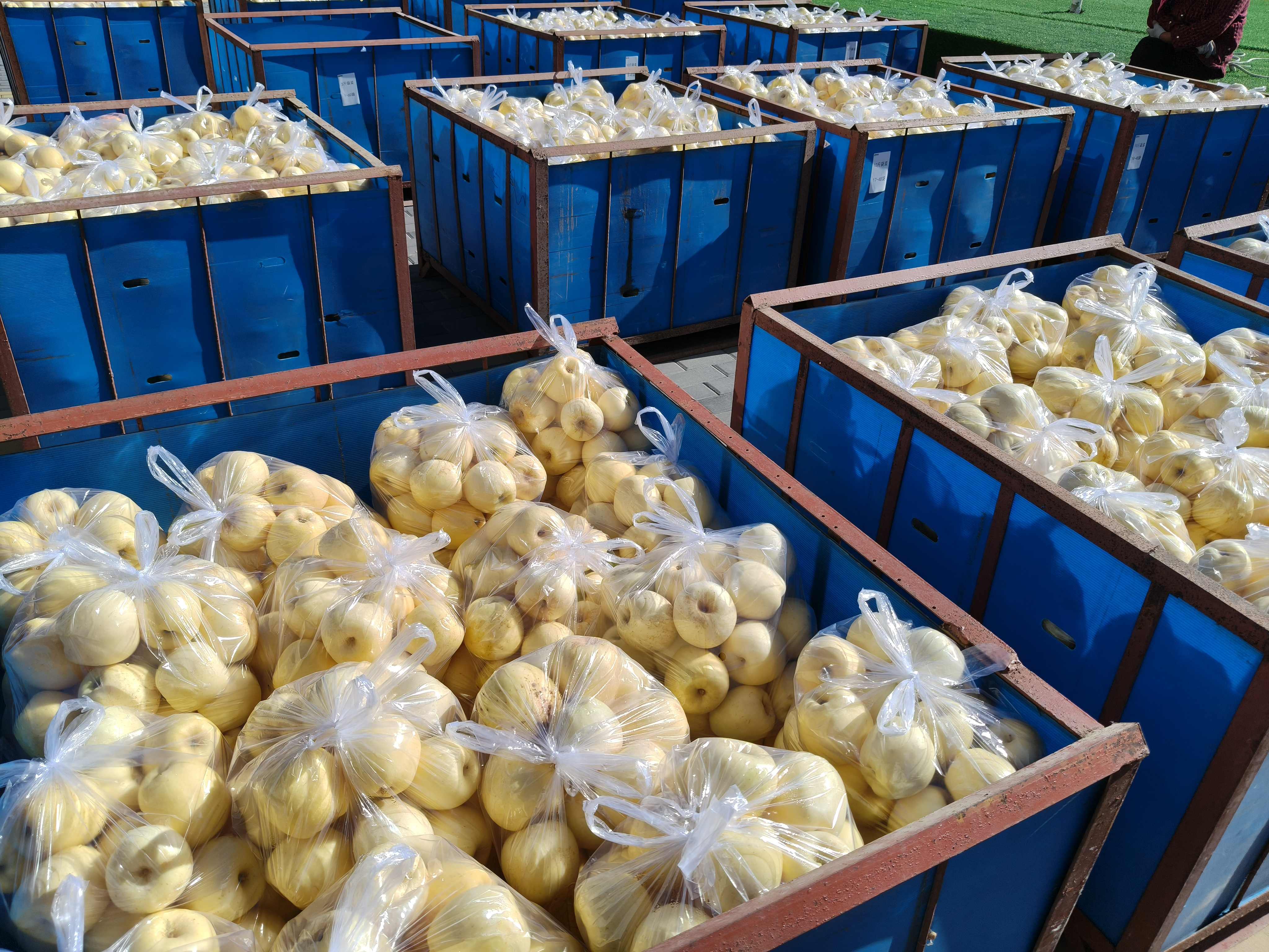 微信图片_20251203160805 微信图片_20251203160805