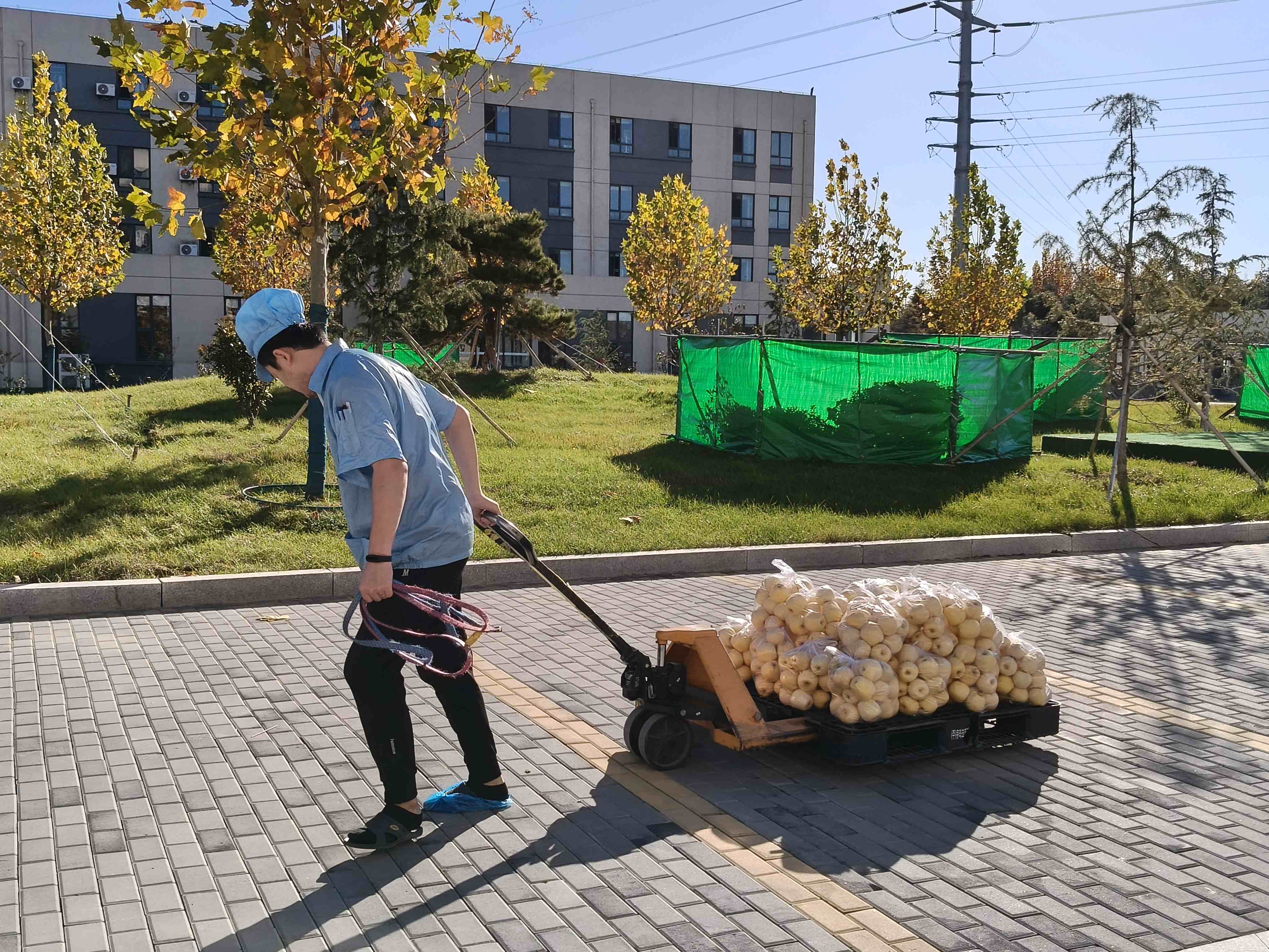 微信图片_20251203160810 微信图片_20251203160810